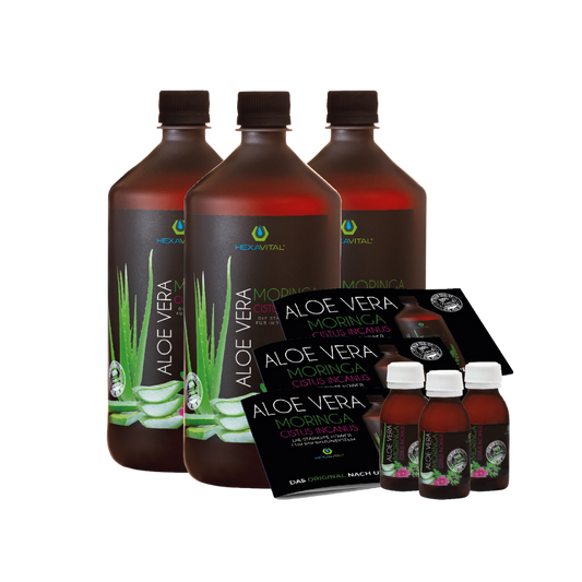 Aloe Vera mit Moringa und Cistus Incanus - 3x 1000ml PLUS *gratis* Probeset - Hexavital