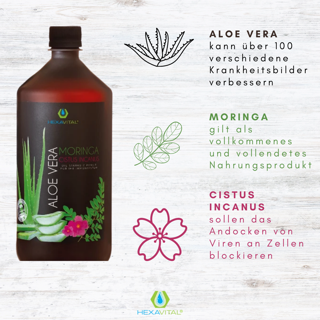 Aloe Vera mit Moringa und Cistus Incanus - 3x&nbsp;1000ml PLUS *gratis* Probeset - Hexavital