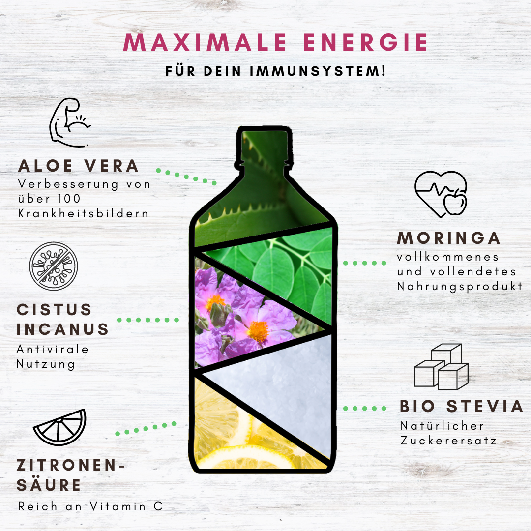 Aloe Vera mit Moringa und Cistus Incanus - 1x 1000ml - Hexavital