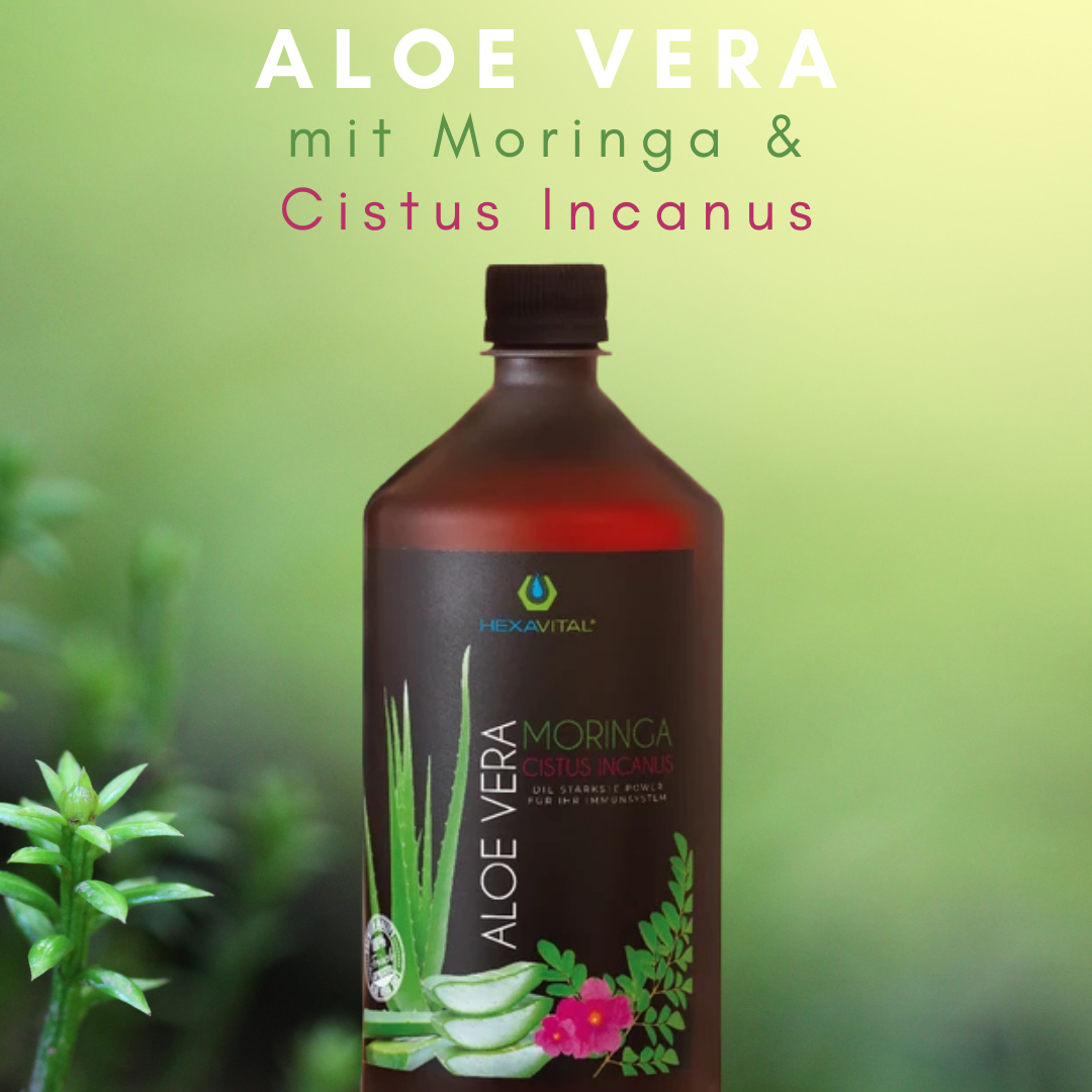 Aloe Vera mit Moringa und Cistus Incanus -  8x1000ml - Hexavital
