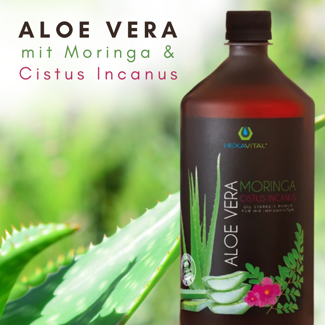 Aloe Vera mit Moringa und Cistus Incanus - 3x&nbsp;1000ml PLUS *gratis* Probeset - Hexavital