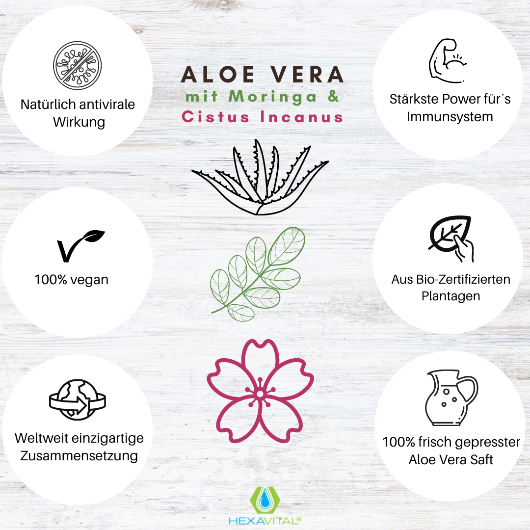 Aloe Vera mit Moringa und Cistus Incanus -  8x1000ml - Hexavital